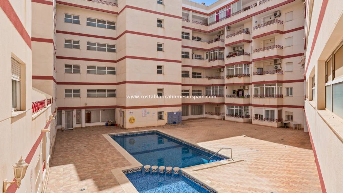 Használt - Apartment - Torrevieja - Parque las naciones