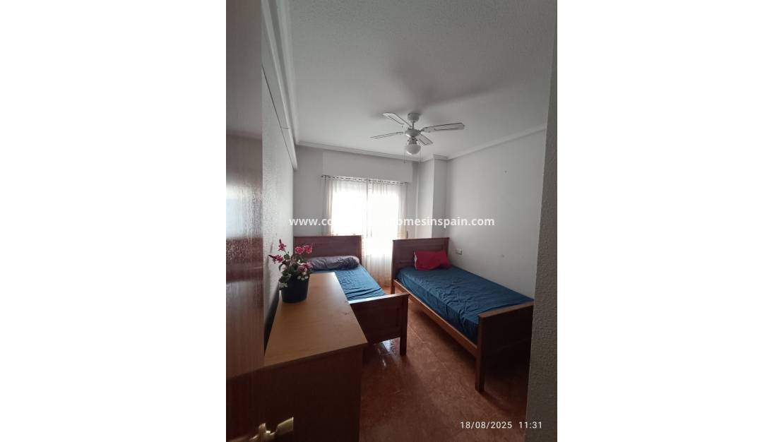 Használt - Apartment - Torrevieja - Playa de los Locos