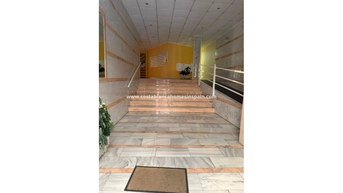 Használt - Apartment - Torrevieja - Playa de los Locos