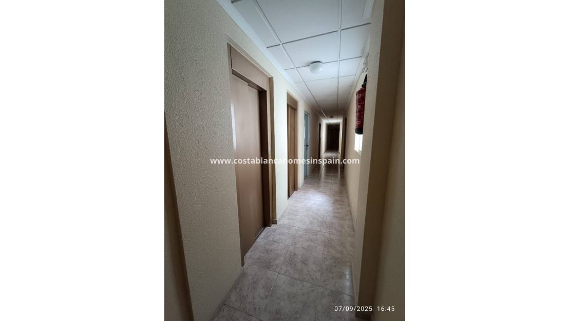 Használt - Apartment - Torrevieja - Playa de los Locos