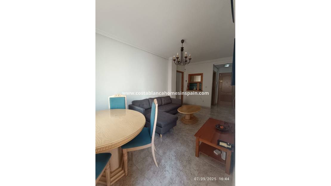 Használt - Apartment - Torrevieja - Playa de los Locos