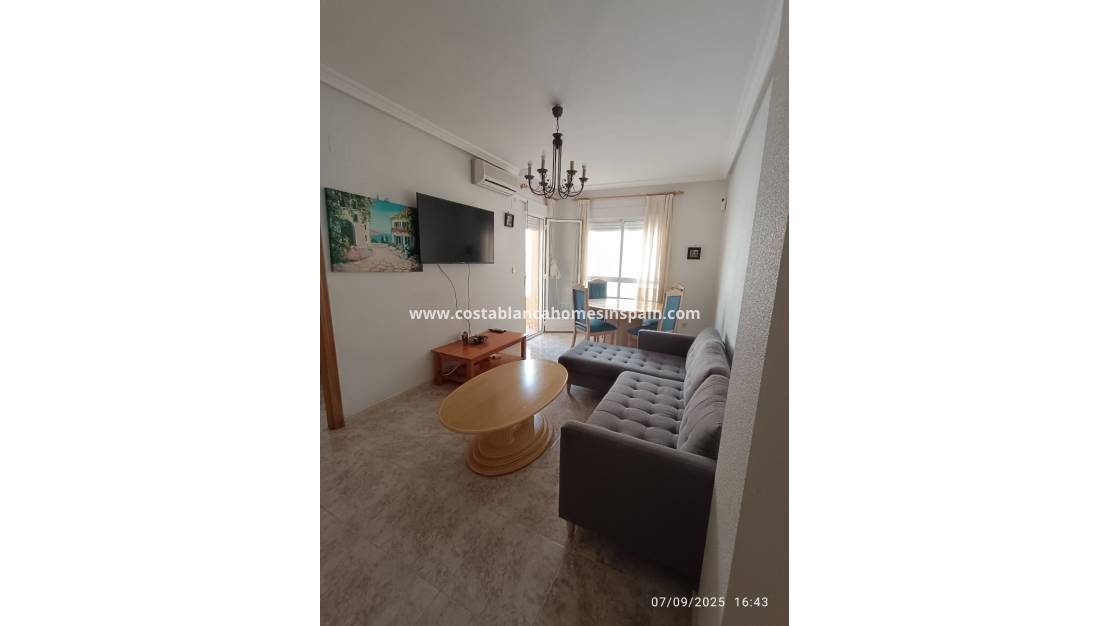 Használt - Apartment - Torrevieja - Playa de los Locos