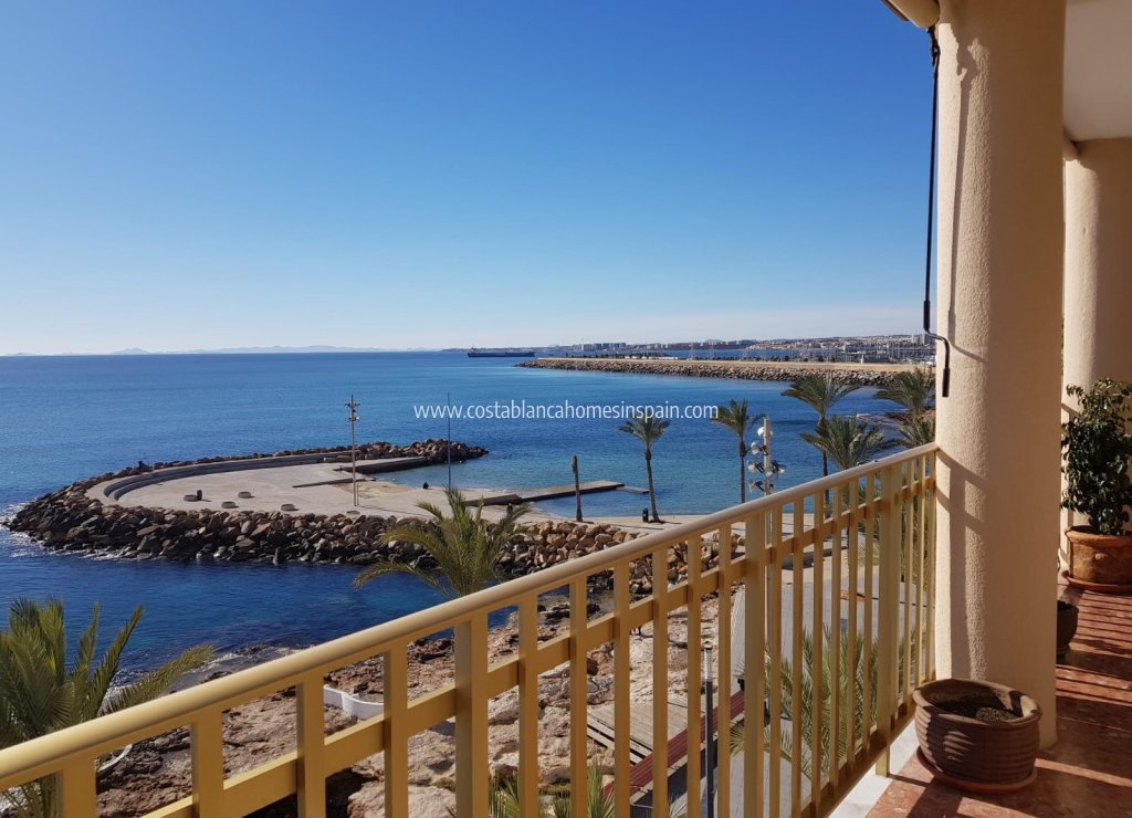 Használt - Apartment - Torrevieja - Playa del Cura