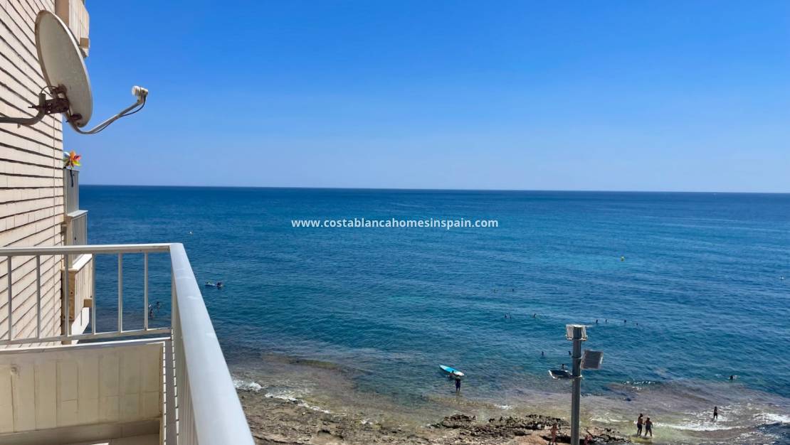 Használt - Apartment - Torrevieja - Playa del Cura