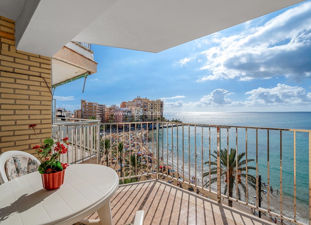 Használt - Apartment - Torrevieja