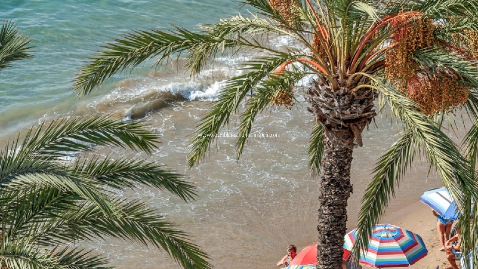 Használt - Apartment - Torrevieja