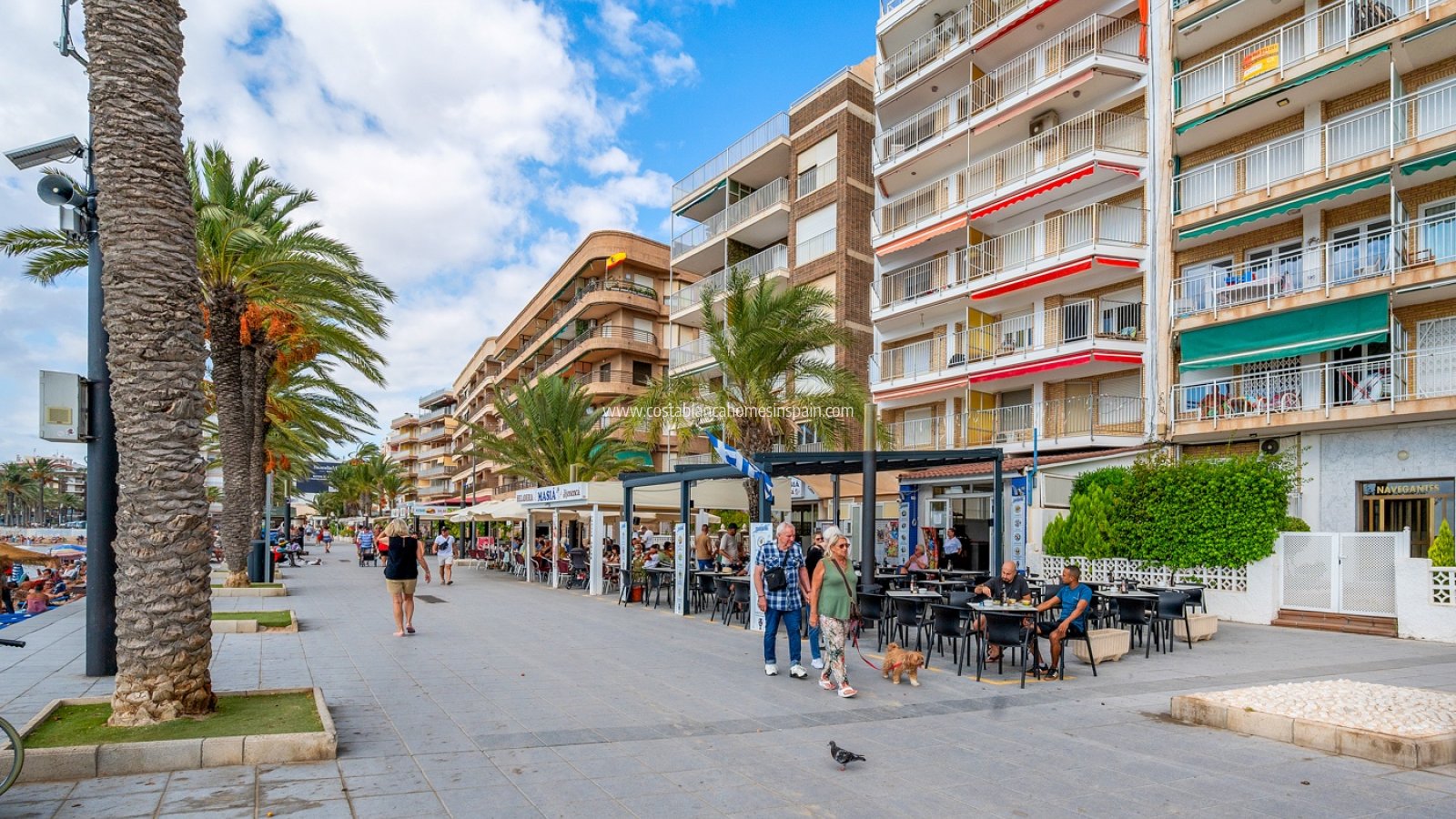 Használt - Apartment - Torrevieja