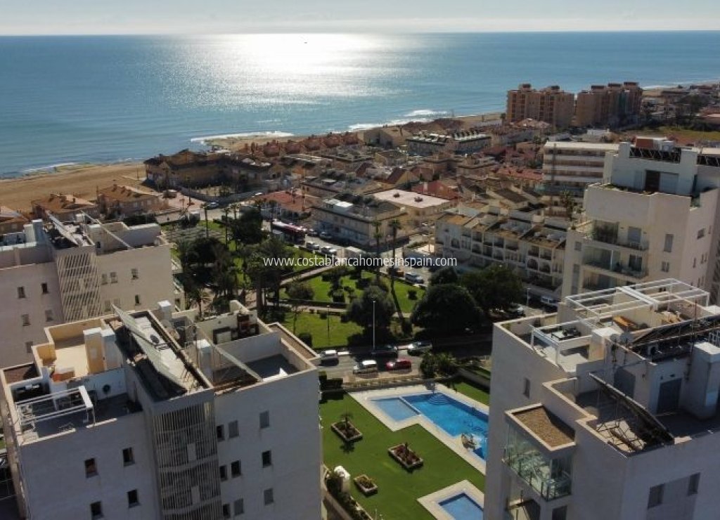 Használt - Apartment - Torrevieja