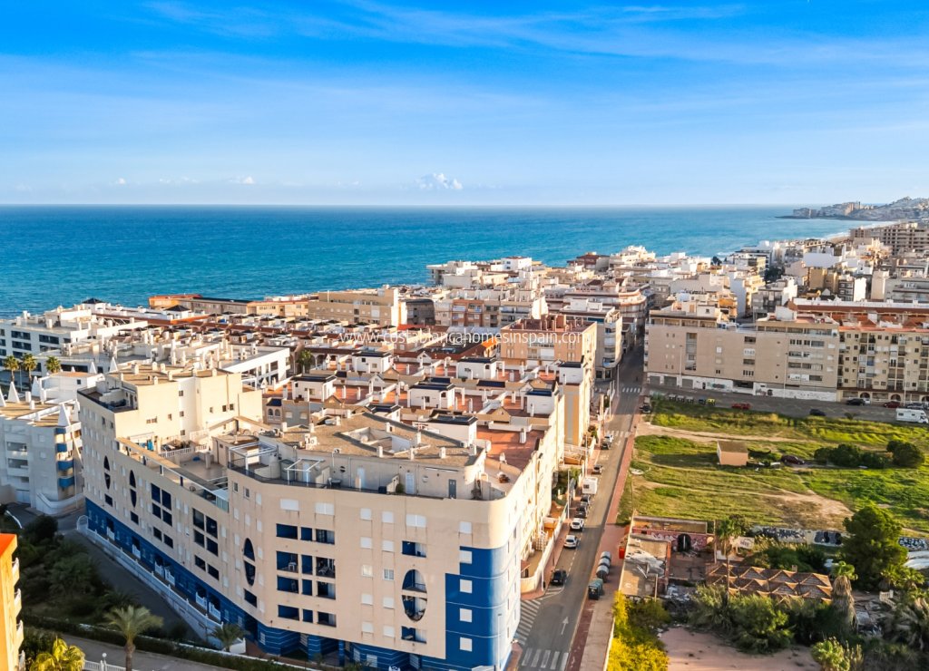Használt - Apartment - Torrevieja - 