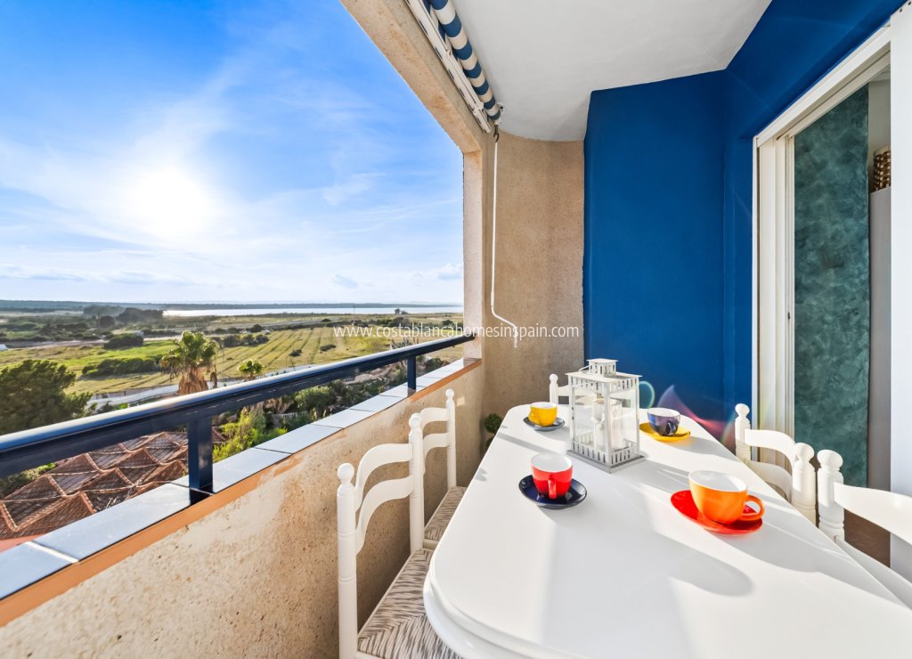 Használt - Apartment - Torrevieja - 
