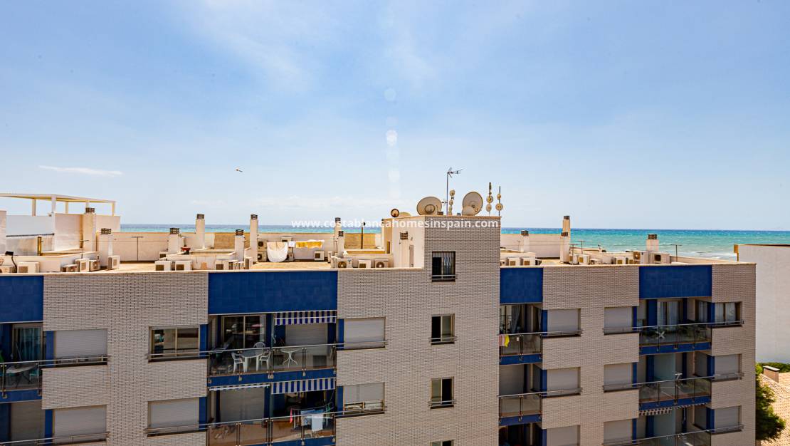 Használt - Apartment - Torrevieja