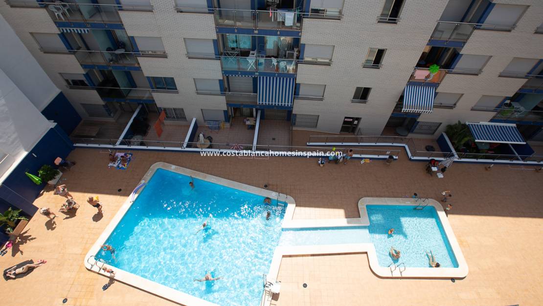 Használt - Apartment - Torrevieja