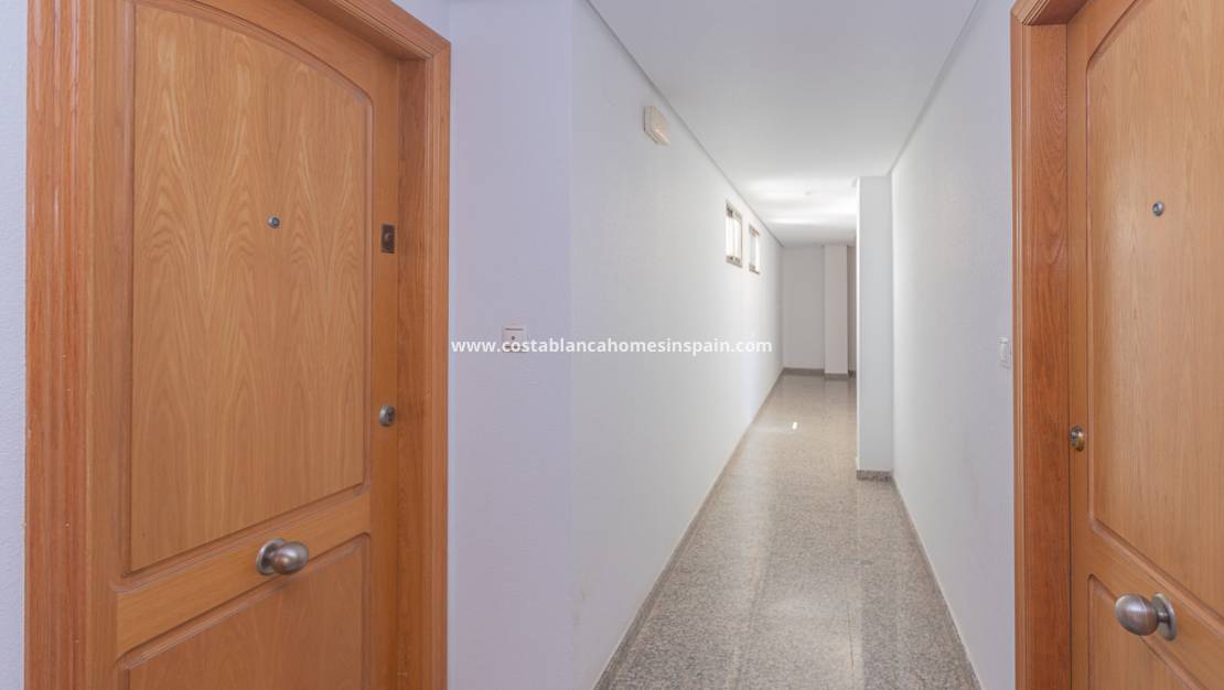 Használt - Apartment - Torrevieja