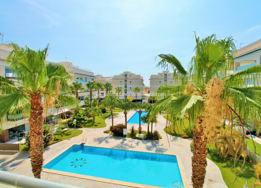 Használt - Apartment - Villamartin - 