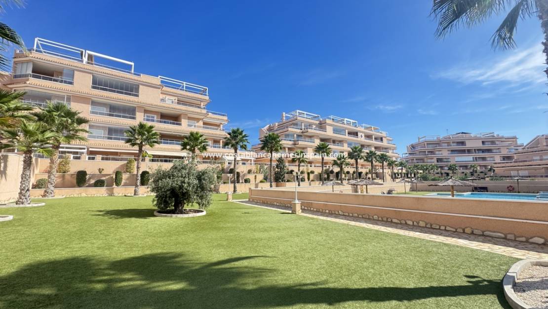 Használt - Apartment - Villamartin