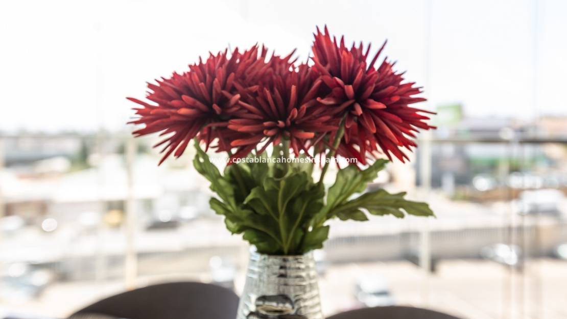 Használt - Apartment - Villamartin