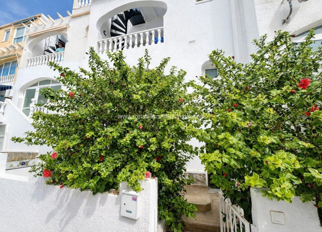 Használt - Apartment - 