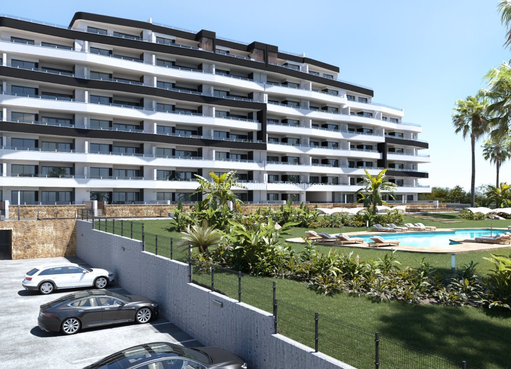 Használt - Apartment - 