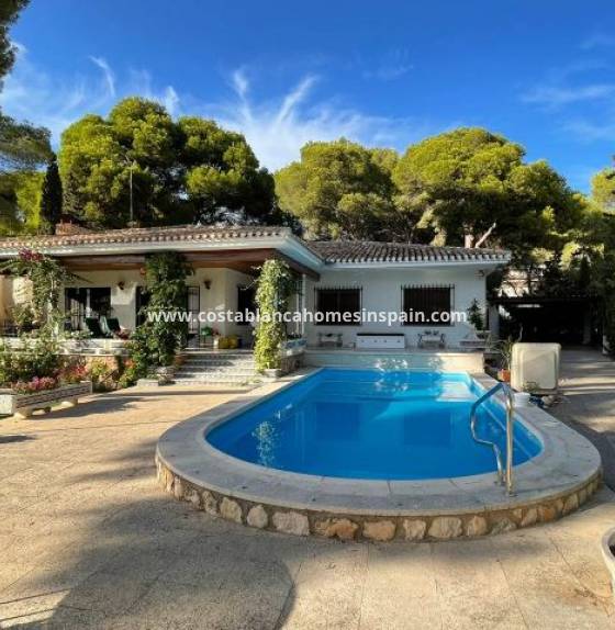  - Használt - Campoamor - Campoamor