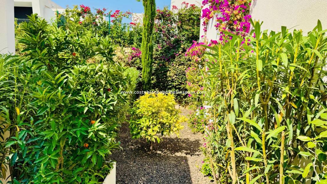 Használt - Detached Villa - Algorfa - La finca golf