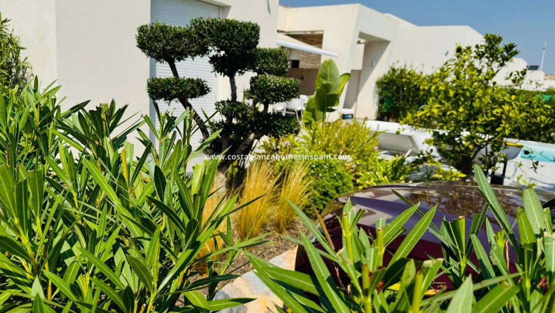 Használt - Detached Villa - Algorfa - La finca golf