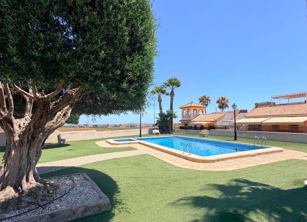 Használt - Detached Villa - Los Montesinos - 