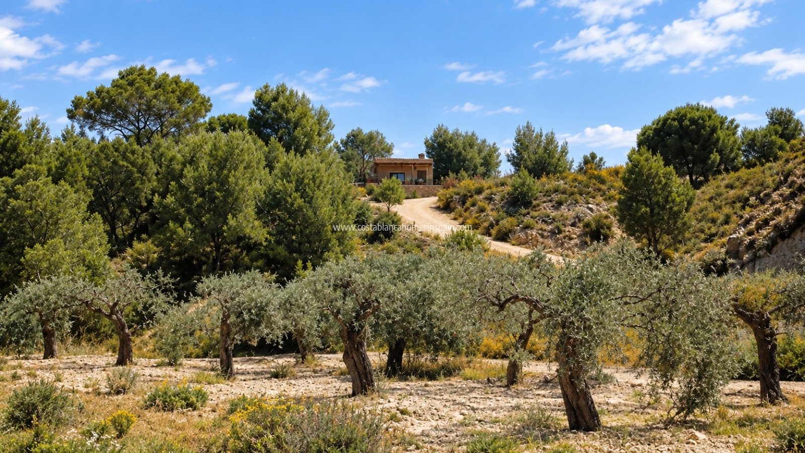 Használt - Detached Villa - MURCIA REGION - 