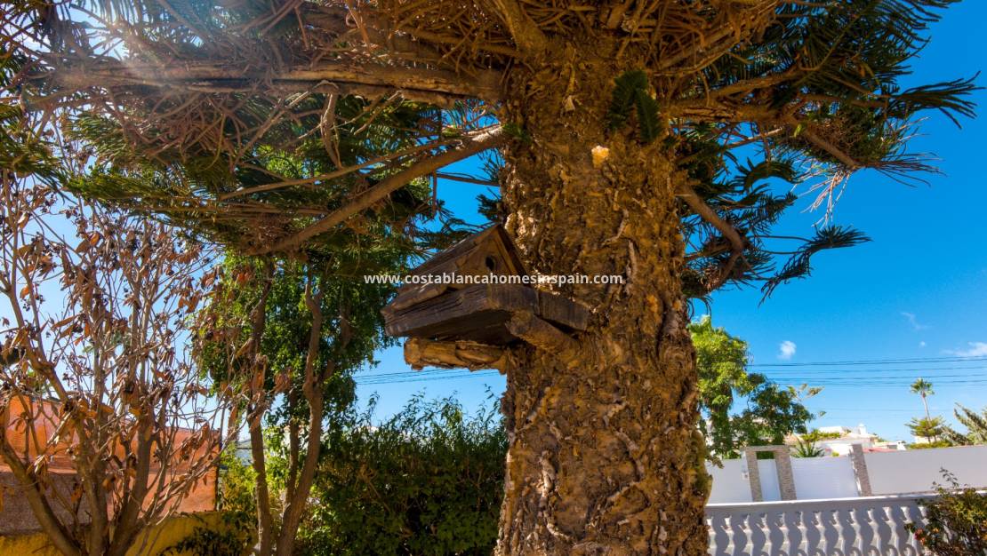 Használt - Detached Villa - Torrevieja - La Siesta - El Salado -  Torreta