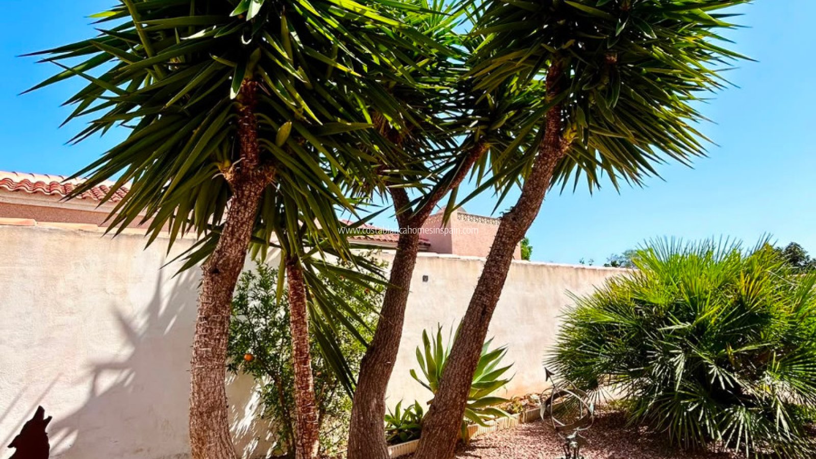 Használt - Detached Villa - Torrevieja - Urbanización San Luis