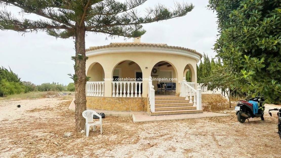 Használt - Finca - Daya Vieja