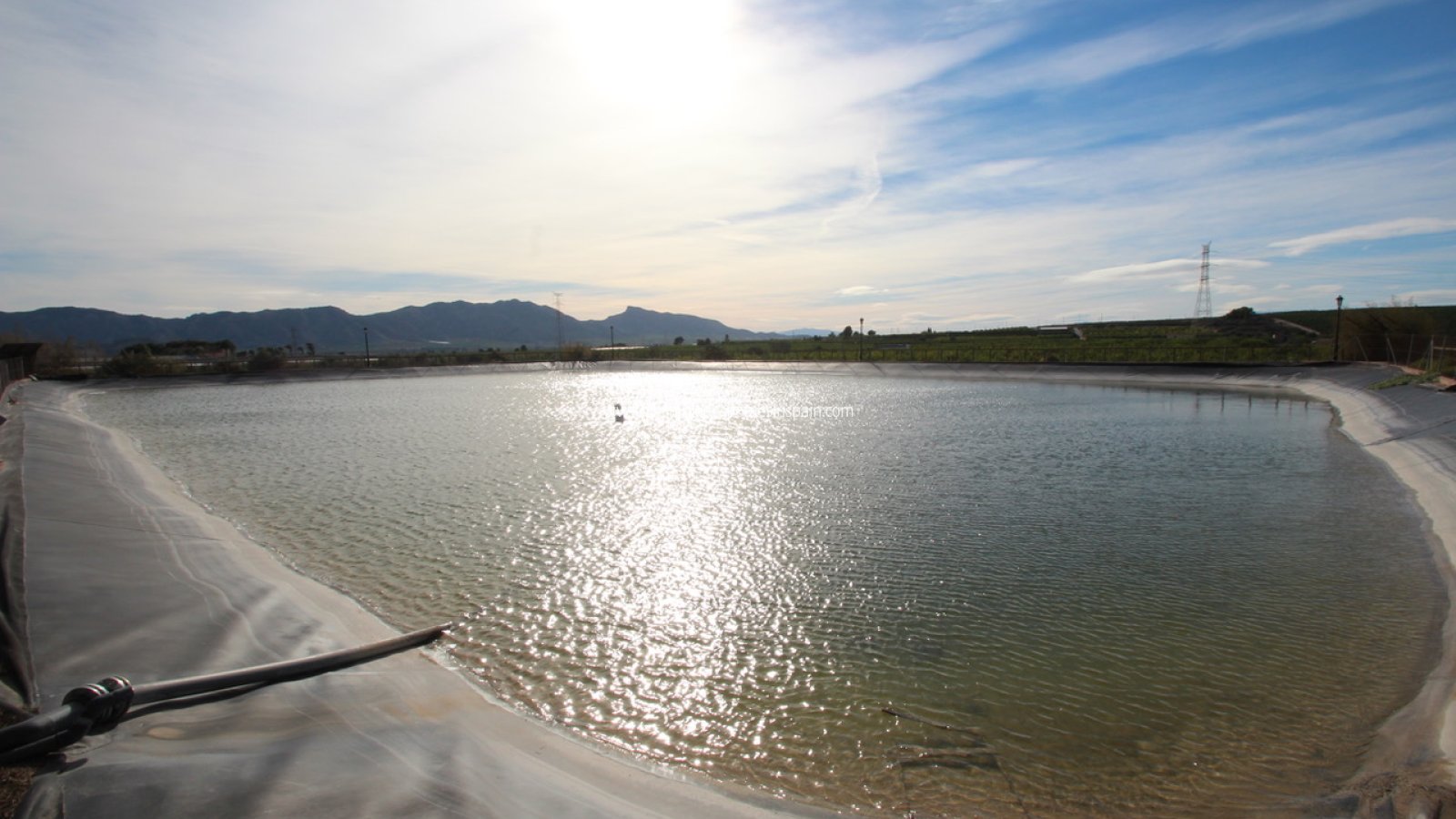 Használt - Finca - MURCIA REGION - 