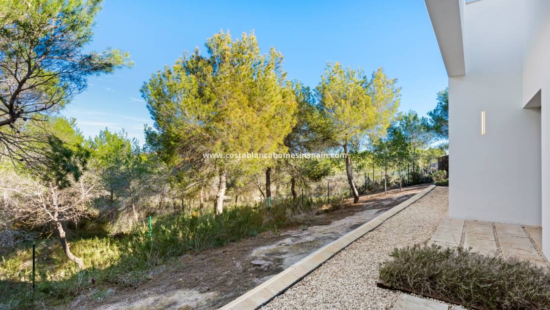 Használt -  - Las Colinas Golf