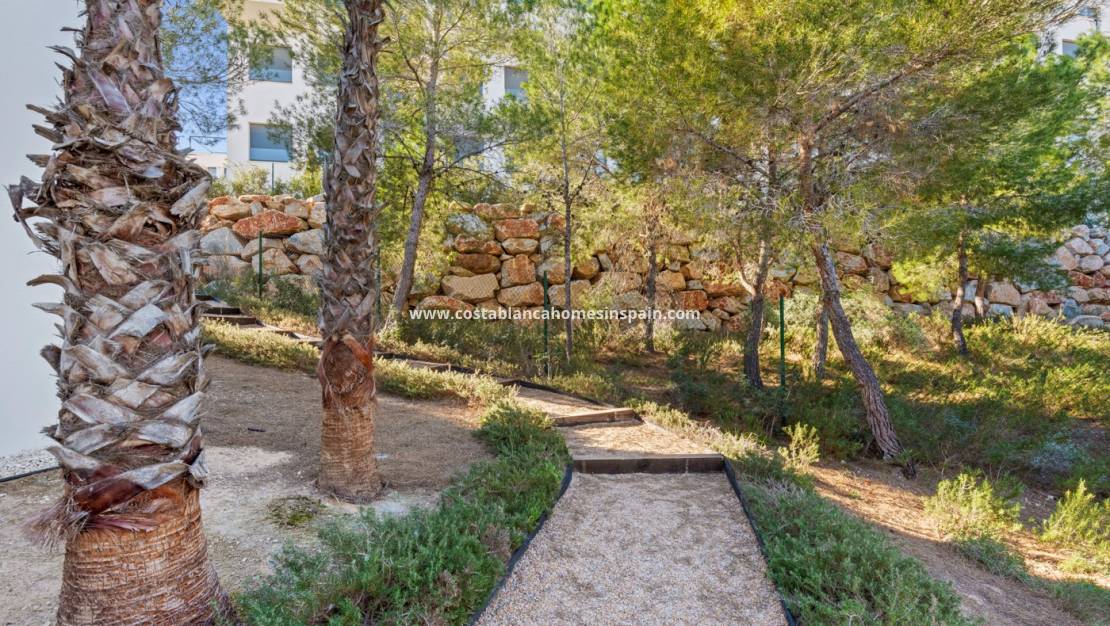 Használt -  - Las Colinas Golf