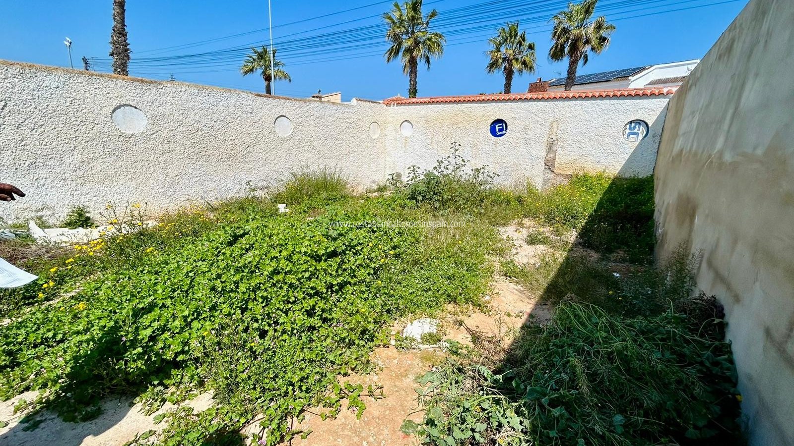 Használt - Plot - Ciudad Quesada - 