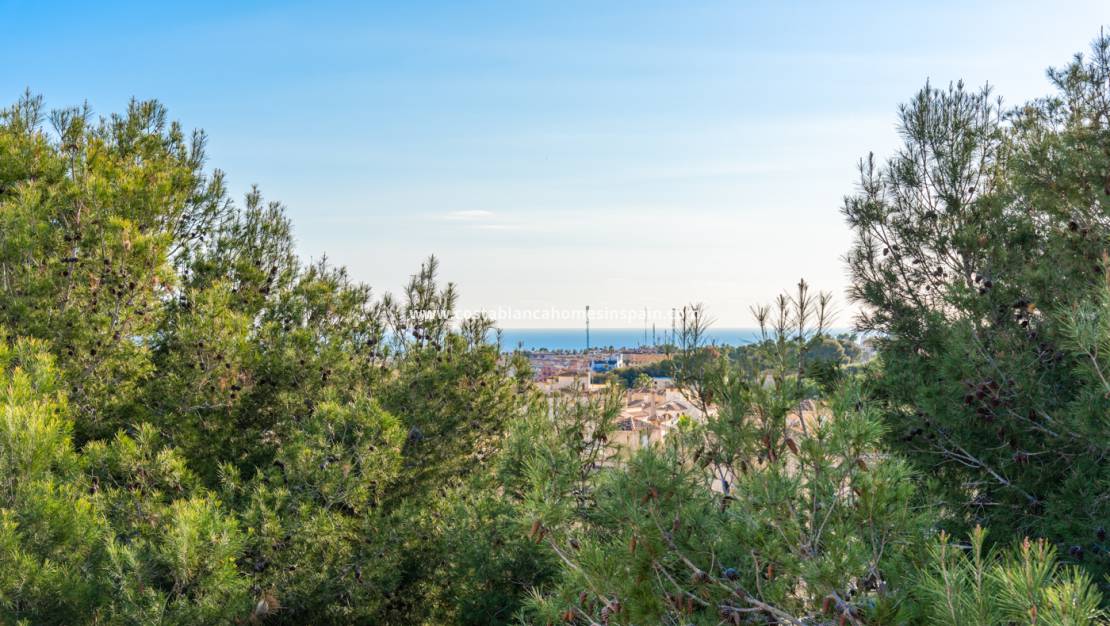 Használt -  - San Miguel de Salinas - El galán