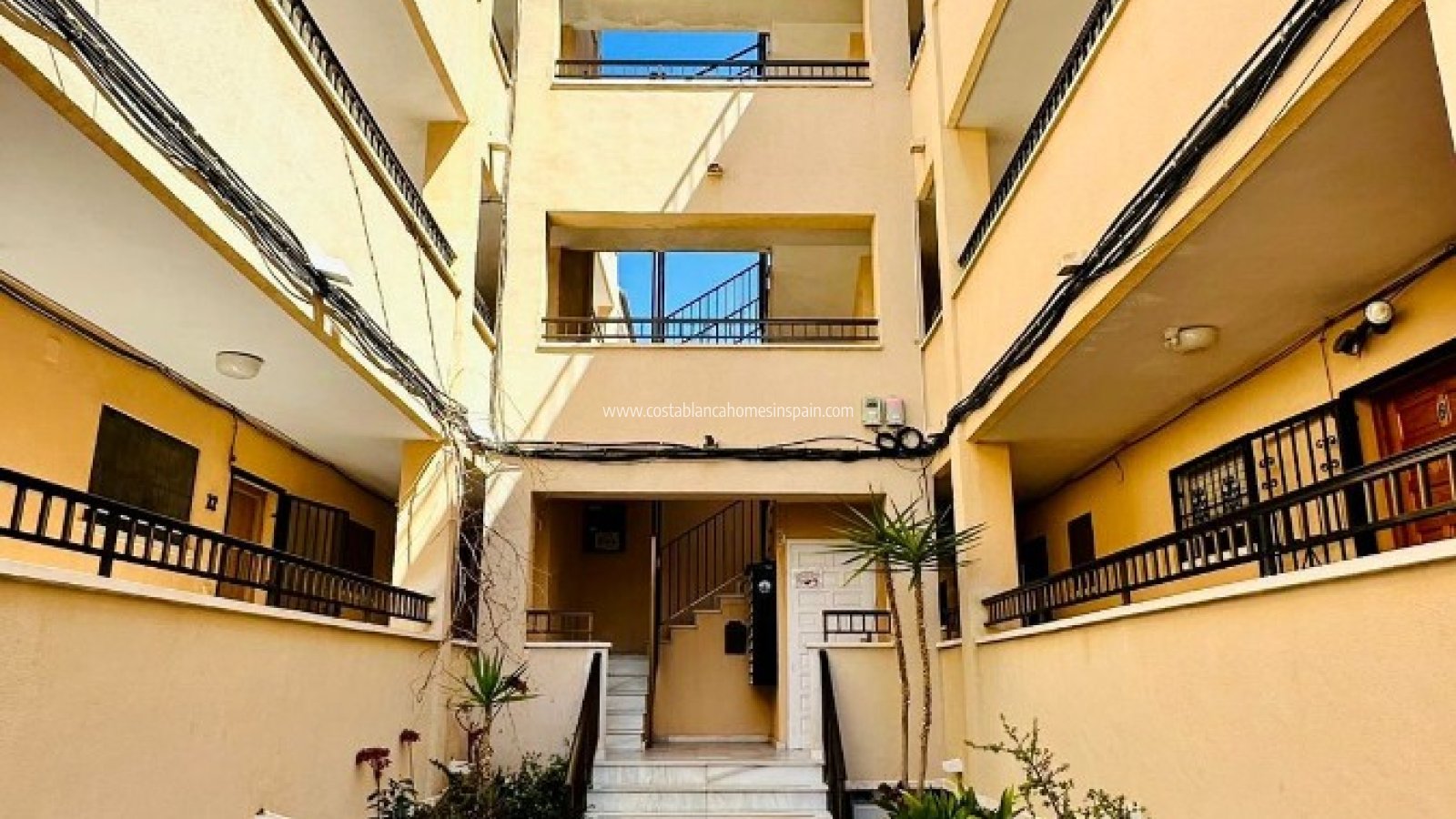 Használt -  - Torrevieja - El chaparral