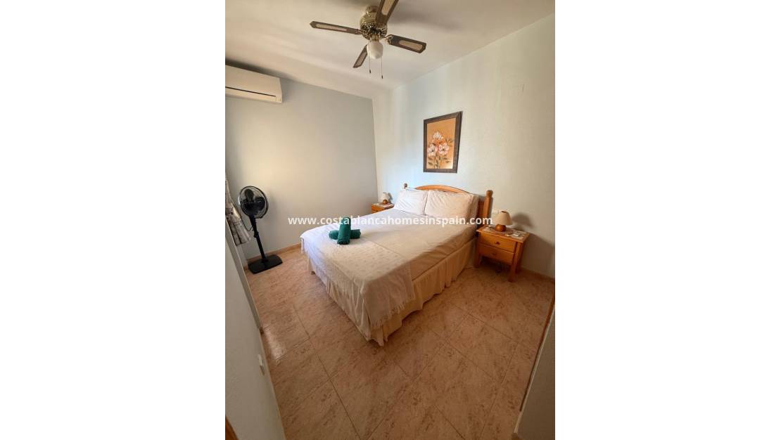 Hosszú távú bérlet - Apartment - Playa Flamenca - Costa Blanca