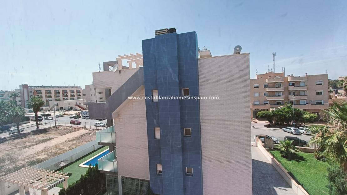 Langtidsutleie - Apartment - Cabo Roig