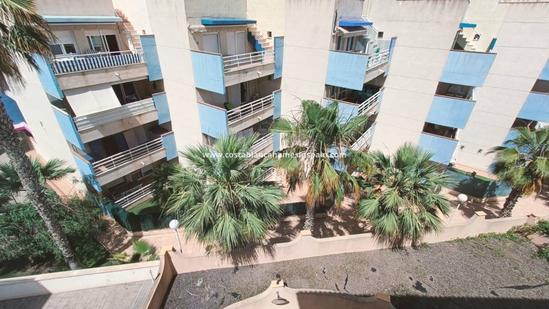 Langtidsutleie - Apartment - Cabo Roig