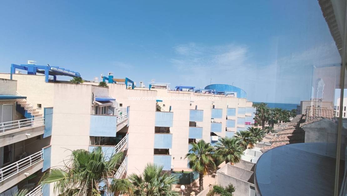 Langtímaleiga - Apartment - Cabo Roig
