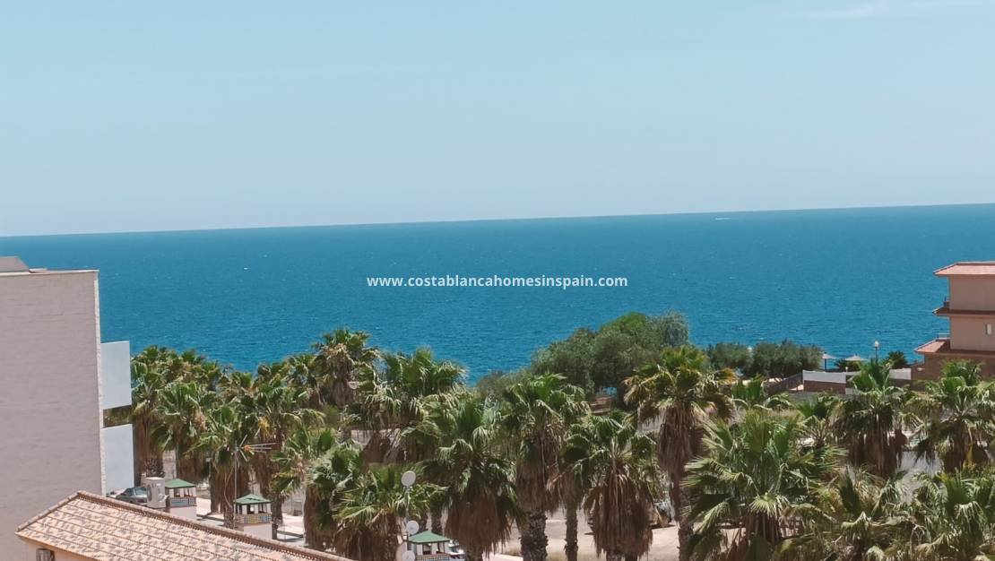 Langtímaleiga - Apartment - Cabo Roig