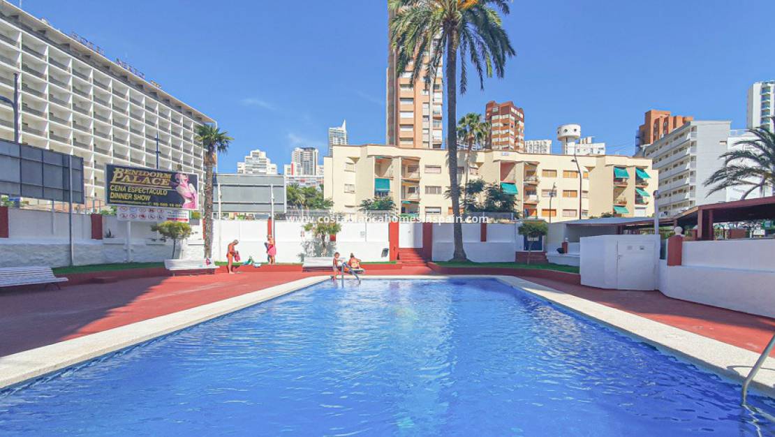 Langtímaleiga - Apartment / flat - Benidorm - Rincon de Loix Llano