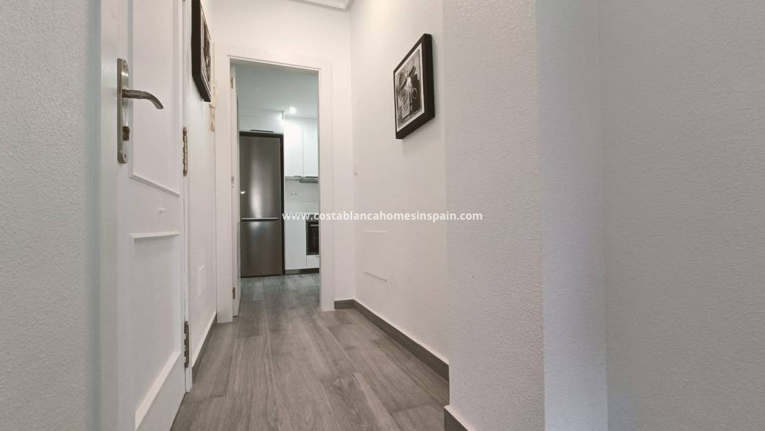 Langtímaleiga - Apartment / flat - Orihuela - Cabo Roig