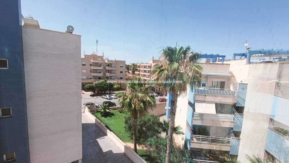 Langtímaleiga - Apartment / flat - Orihuela - Cabo Roig