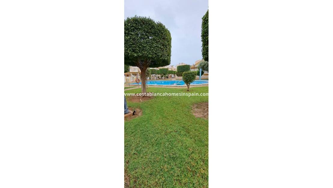 Langtímaleiga - Apartment / flat - Orihuela - Cabo Roig