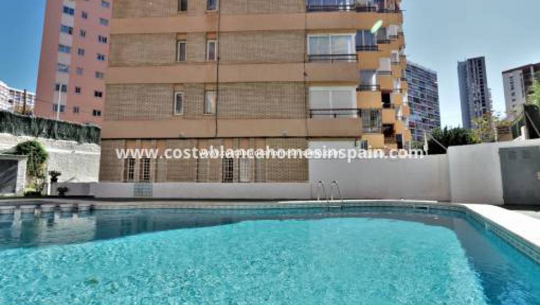 Les locations - Apartment - Benidorm - Levante