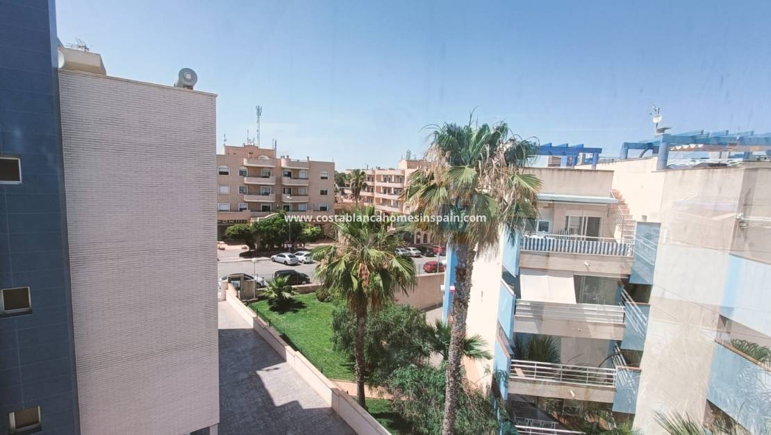Location à long terme - Apartment - Cabo Roig