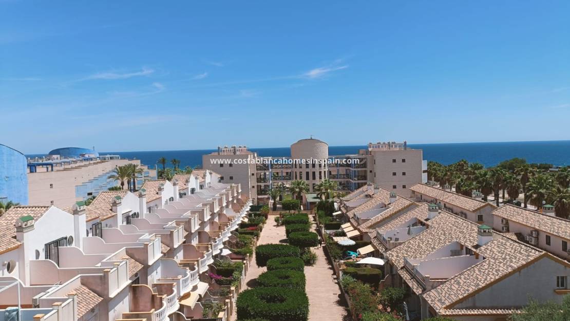 Location à long terme - Apartment - Cabo Roig