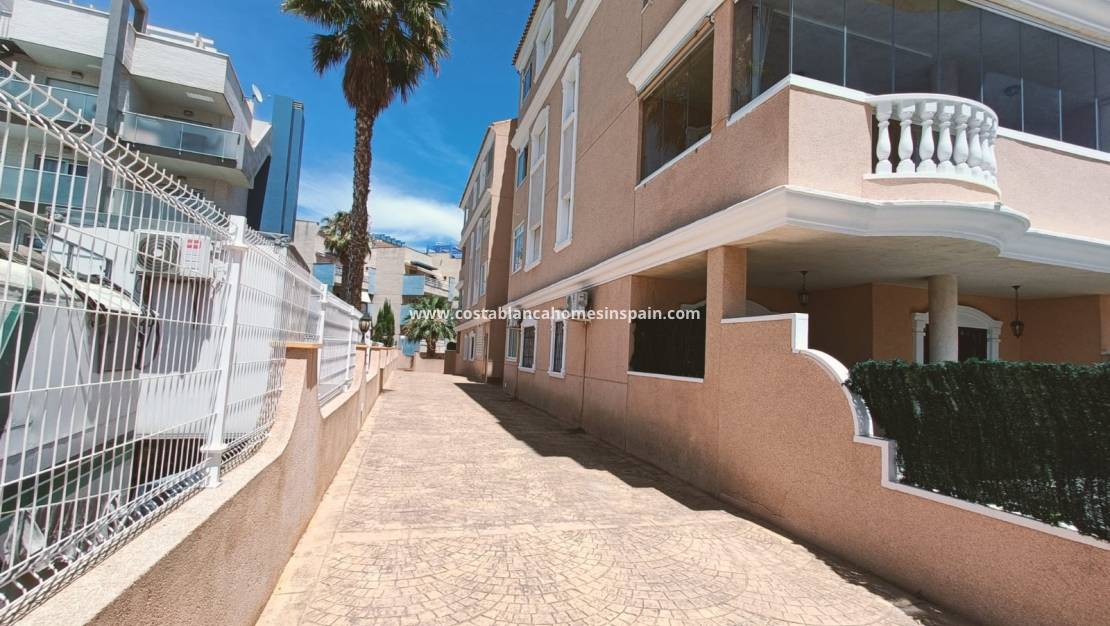 Location à long terme - Apartment / flat - Orihuela - Cabo Roig