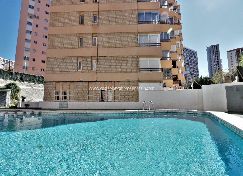 Long time Rental - Apartment - Benidorm - Rincon de Loix Llano